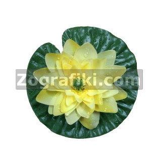 noyfara_mikra_epipleonta_kitrina_01.000.951