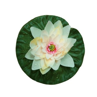 noyfara_mikra_epipleonta_leyka_sampani_01.000.950