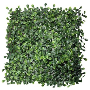 plakaki_gazon_trifylli_01.000.659