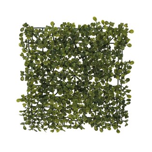 plakaki_gkazon_lepto_01.002.345