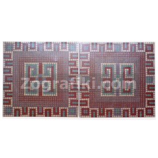 Psifidota_Set_EF-0007.JPG