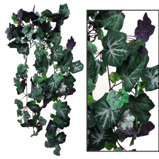 riza_kremasti_chnoudoti_molocha_MS-00-00-181F-9011