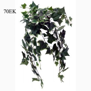 riza_kremasti_prasinada_kissos_dichromos_MS-00-00-162-277GW