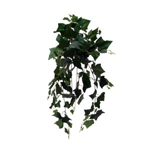 riza_kremasti_prasinada_kissos_prasinos_MS-00-00-162-277