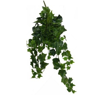 riza_kremasti_prasinada_kissos_prasinos_like_real_01.002.550