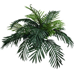 riza_prasinada_tsikas_MS-00-00-1566