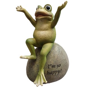 vatrachos-kathistos-se-vracho-me-keimeno-00.403.377