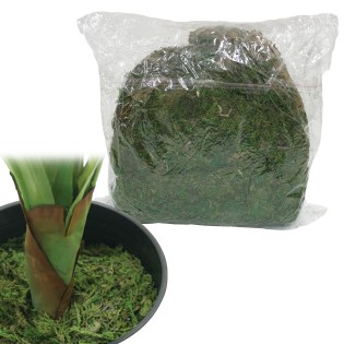 vrya_grasidi_gia_glastres_01.001.420