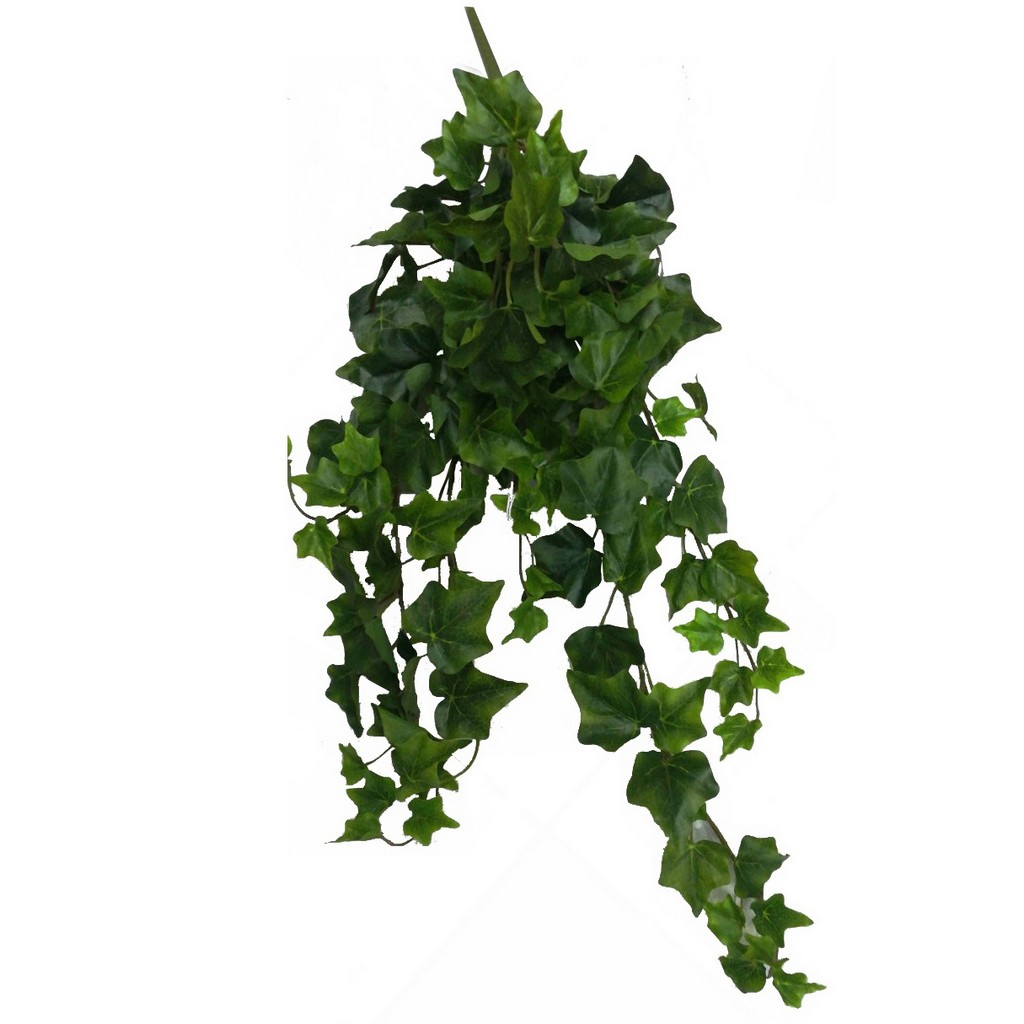 riza_kremasti_prasinada_kissos_prasinos_like_real_01.002.550