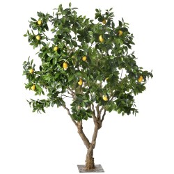 diakosmitiko_dentro_megalo_lemonia_se_glastra_00.402.909_a