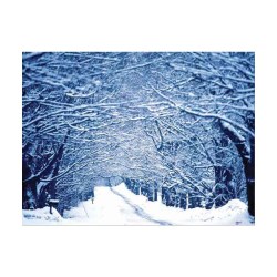 Γυάλινο κάδρο χιονισμένο τοπίο MS-1-14145